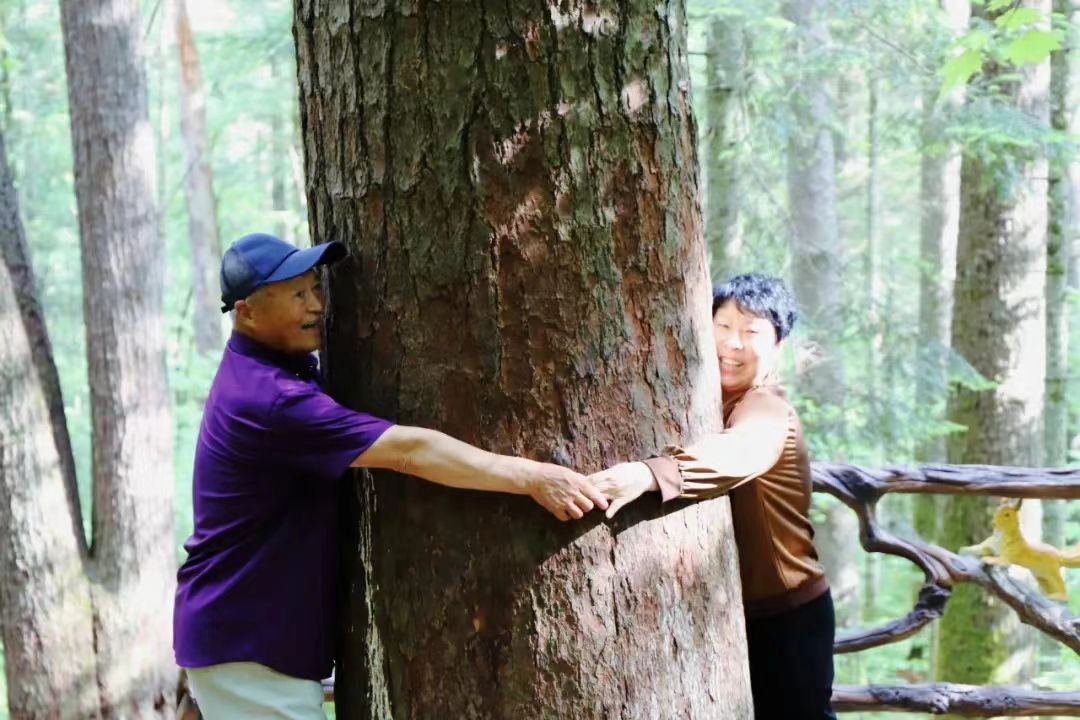 黑龙江伊春友好：山花烂漫六月天 溪水旅游乐翻天