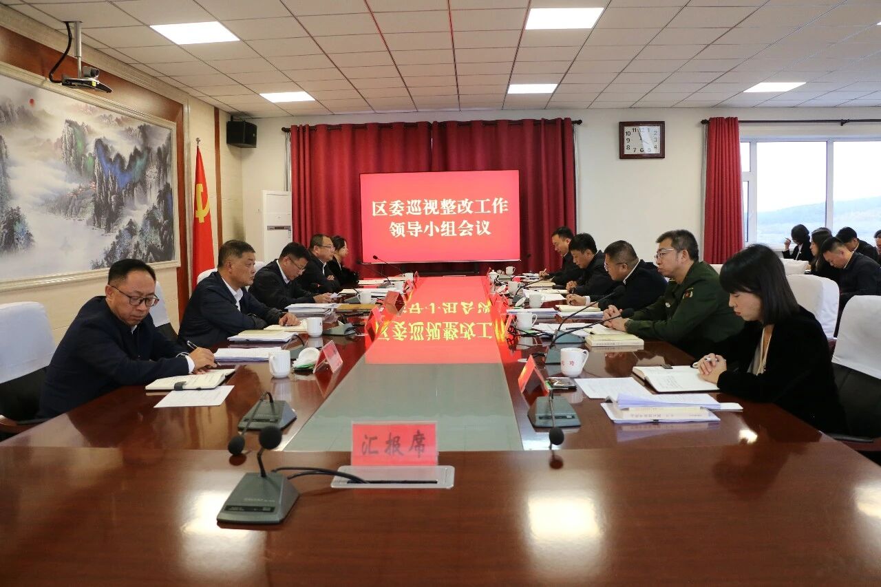 友好区委巡视整改工作领导小组会议召开