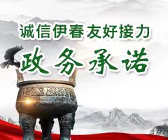 2025年友好区政务诚信承诺书